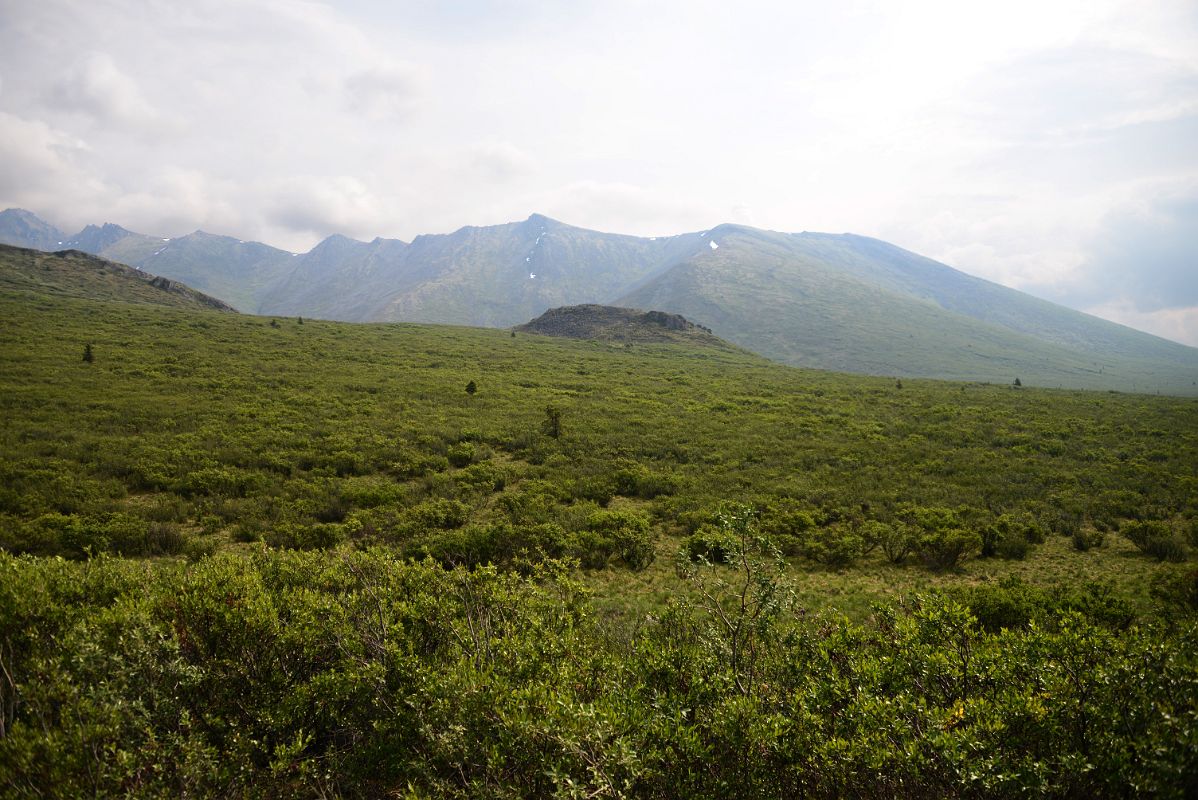 14 Trapper Mountain From Tombstone Park Yukon
